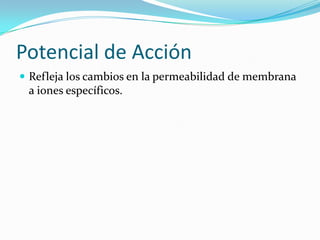Potencial de Acción
 Refleja los cambios en la permeabilidad de membrana
a iones específicos.
 