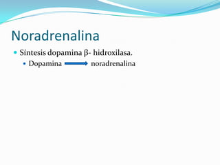 Noradrenalina
 Síntesis dopamina β- hidroxilasa.
 Dopamina noradrenalina
 