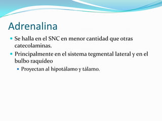 Adrenalina
 Se halla en el SNC en menor cantidad que otras
catecolaminas.
 Principalmente en el sistema tegmental lateral y en el
bulbo raquídeo
 Proyectan al hipotálamo y tálamo.
 