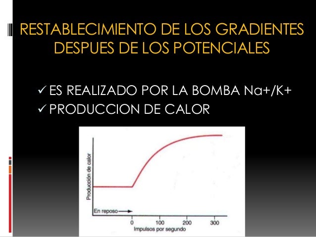 Resultado de imagen para restablecimiento de los gradientes