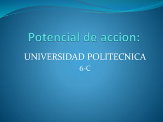UNIVERSIDAD POLITECNICA 
6-C 
 