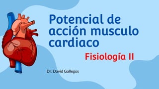 Potencial de
acción musculo
cardiaco
Dr. David Gallegos
Fisiología II
 