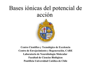 Bases  iónicas del potencial de acción  Centro Científico y Tecnológico de Excelencia Centro de Envejecimiento y Regeneración, CARE Laboratorio de Neurobiología Molecular  Facultad de Ciencias Biológicas Pontificia Universidad Católica de Chile 