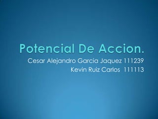 Cesar Alejandro Garcia Jaquez 111239
             Kevin Ruiz Carlos 111113
 