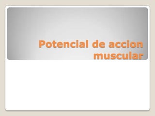 Potencial de accion muscular 