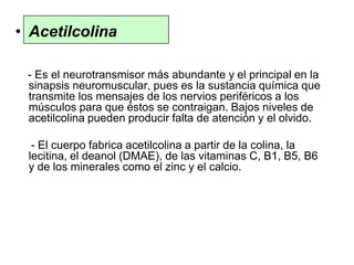 • Acetilcolina
- Es el neurotransmisor más abundante y el principal en la
sinapsis neuromuscular, pues es la sustancia química que
transmite los mensajes de los nervios periféricos a los
músculos para que éstos se contraigan. Bajos niveles de
acetilcolina pueden producir falta de atención y el olvido.
- El cuerpo fabrica acetilcolina a partir de la colina, la
lecitina, el deanol (DMAE), de las vitaminas C, B1, B5, B6
y de los minerales como el zinc y el calcio.
 