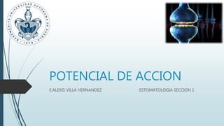 POTENCIAL DE ACCION
E.ALEXIS VILLA HERNANDEZ ESTOMATOLOGIA SECCION 1
 