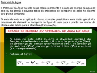 Potencial de ÁguaPotencial de Água
o Potencial da Água no solo ou na planta representa o estado de energia da água no
solo ou na planta e governa todos os processos de transporte de água no sistema
solo-planta-atmosfera.
O entendimento e a aplicação desse conceito possibilitam uma visão global dos
processos de absorção e transporte de água do solo para a planta. no interior da
planta e das folhas para a atmosfera (transpiração).
 