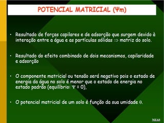 Potencial de agua 1