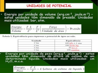 Potencial de agua 1