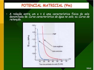 Potencial de agua 1