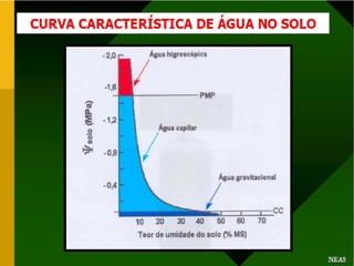 Potencial de agua 1