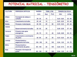 Potencial de agua 1