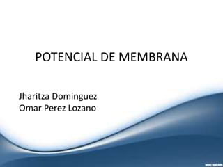 POTENCIAL DE MEMBRANA

Jharitza Dominguez
Omar Perez Lozano
 