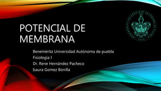 POTENCIAL DE
MEMBRANA
Benemérita Universidad Autónoma de puebla
Fisiología l
Dr. Rene Hernández Pacheco
Isaura Gomez Bonilla
 