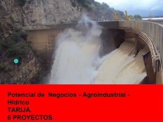 TARIJAPotencial de Negocios - Agroindustrial -
Hídrico
TARIJA.
6 PROYECTOS.
 