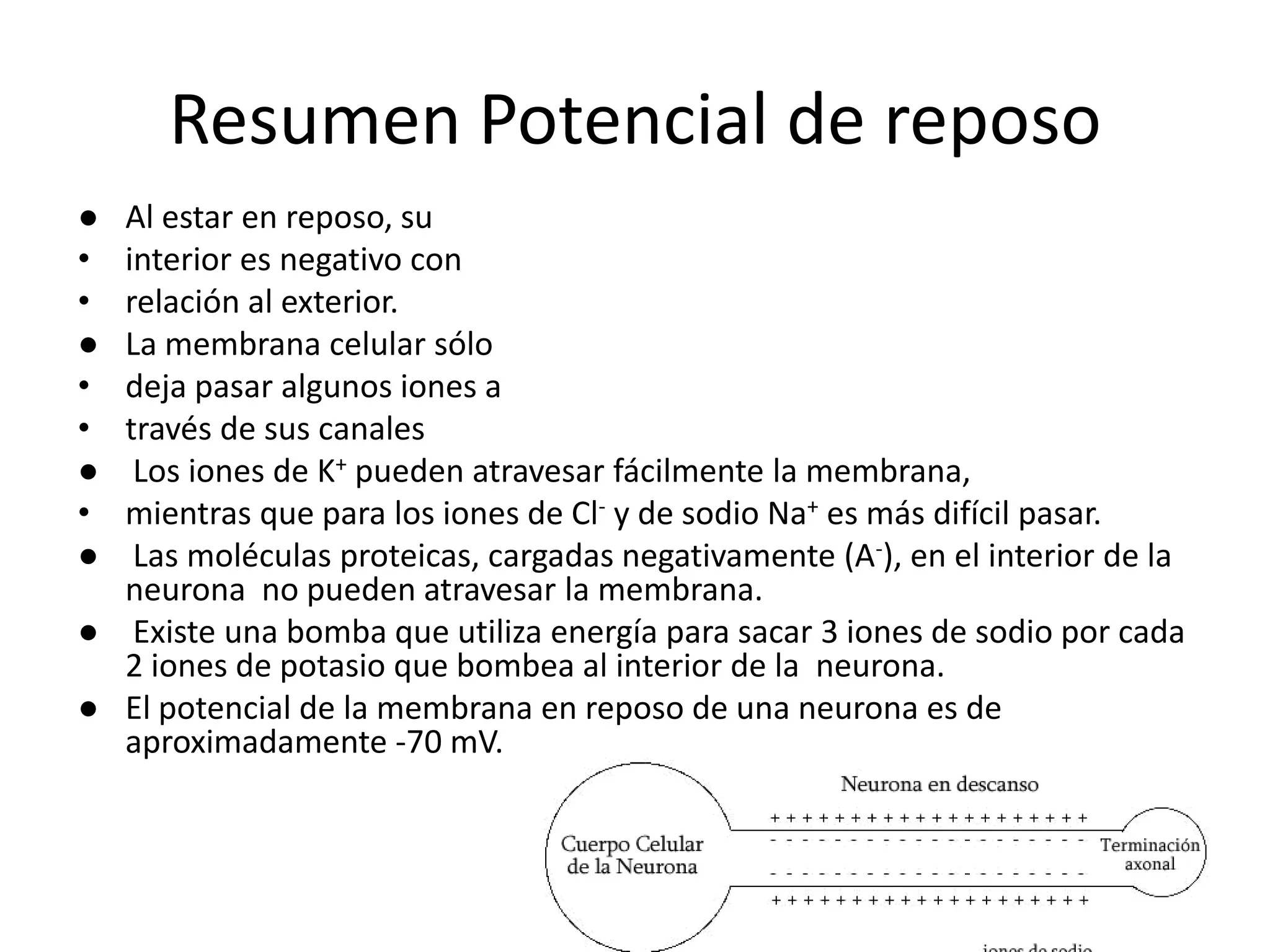 Reposo Potencial de reposo & de acción de la neurona | PPT