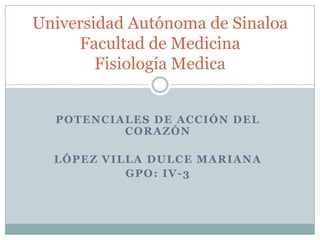 Universidad Autónoma de Sinaloa
     Facultad de Medicina
        Fisiología Medica


  POTENCIALES DE ACCIÓN DEL
          CORAZÓN

  LÓPEZ VILLA DULCE MARIANA
           GPO: IV-3
 