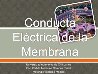         


Universidad Autónoma de Chihuahua
Facultad de Medicina Campus Parral
     Materia: Fisiología Medica
 