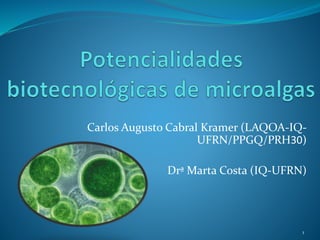 Carlos Augusto Cabral Kramer (LAQOA-IQ-
UFRN/PPGQ/PRH30)
Drª Marta Costa (IQ-UFRN)
1
 