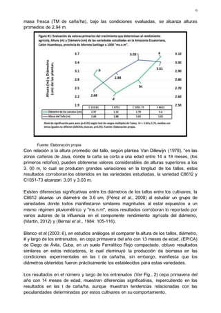 Potencialidades de variedades de caña de azúcar de origen cubano a 1000 ms.n.m , cantón huamboya, ecuador. msc, francisco martin armas.docx