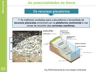  A plataforma
continental, o talude e
a planície abissal
fazem parte de um
conjunto de unidades da
estrutura das áreas
litorais.
As potencialidades do litoral
Fig. Perfil transversal de uma margem continental
Os recursos piscatórios
 As melhores condições para a abundância e diversidade de
recursos piscícolas encontram-se na plataforma continental e nas
zonas de encontro das correntes marítimas.
 