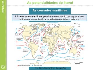 As potencialidades do litoral
As correntes marítimas
Fig. Correntes marítimas de superfície
As correntes marítimas permitem a renovação das águas e dos
nutrientes, aumentando a variedade e espécies marinhas.
 