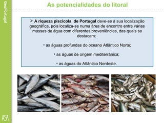 As potencialidades do litoral
 A riqueza piscícola de Portugal deve-se à sua localização
geográfica, pois localiza-se numa área de encontro entre várias
massas de água com diferentes proveniências, das quais se
destacam:
• as águas profundas do oceano Atlântico Norte;
• as águas de origem mediterrânica;
• as águas do Atlântico Nordeste.
 
