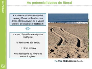 As potencialidades do litoral
Fig. LisboaFig. Praia dos Pescadores -Espinho
• a sua diversidade e riqueza
ecológica;
• a fertilidade dos solos;
• o clima ameno;
• e a facilidade ao nível das
comunicações.
Fig. Póvoa de Varzim
 As elevadas concentrações
demográficas verificadas nas
áreas litorais devem-se a vários
fatores, dos quais se destacam:
 