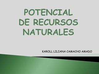 POTENCIAL
DE RECURSOS
NATURALES
KAROLL LILIANA CAMACHO AMADO
 