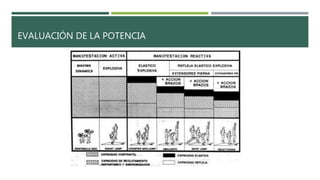EVALUACIÓN DE LA POTENCIA
 