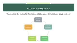 POTENCIA MUSCULAR
“Capacidad del músculo de realizar altos grados de fuerza en poco tiempo”
Condición
Muscular
Tipo de
Movimiento
Condiciones
Hormonales
Grado de
Entrenamiento
Estructuras
Morfológicas
 