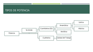 TIPOS DE POTENCIA
Potencia
Cuantitativa (O2)
Anaeróbica
Láctica
Aláctica
Aeróbica
Cualitativa Calidad del Trabajo
Se divide
 