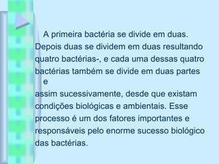 A primeira bactéria se divide em duas.
Depois duas se dividem em duas resultando
quatro bactérias-, e cada uma dessas quatro
bactérias também se divide em duas partes
e
assim sucessivamente, desde que existam
condições biológicas e ambientais. Esse
processo é um dos fatores importantes e
responsáveis pelo enorme sucesso biológico
das bactérias.
 