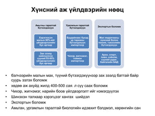 Хүнсний аж үйлдвэрийн нөөц
• бэлчээрийн малын мах, түүний бүтээгдэхүүнээр зах зээлд баттай байр
суурь эзлэх боломж
• хөдөө аж ахуйд жилд 400-500 сая. л сүү саах боломж
• Чихэр, жигнэмэг, нарийн боов үйлдвэрлэлт ийг нэмэгдүүлэх
• Шинэхэн талхаар хэрэгцээг хангах шийдэл
• Экспортын боломж
• Амьтан, ургамлын гаралтай биологийн идэвхит бэлдмэл, хөрөнгийн сан
Амьтны гаралтай
бүтээгдэхүүн
Хэрэглэсэн
малын 90%-ийг
үйлдвэрлэлийн
бус аргаар
Зах зээлд
нийлүүлсэн
сүүний 93-95%
үйлдвэрлэлийн
бус аргаар
Урагмлын гаралтай
бүтээгдэхүүн
Буудайнаас бусад
үр тарианы
бүтээгдэхүүн
импортоор
Чихэр, жигнэмэг,
гоймон
импортоор
Экспортын боломж
Мал нядалгааны
хүнсний болон
техник, тэжээлийн
бүтээгдэхүүн
Архи, спирт,
пиво, соёолж,
сүүний уураг,
байгалийн БАД
 