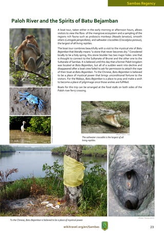 Sambas Regency



 Paloh River and the Spirits of Batu Bejamban
                                                                   A boat tour, taken either in the early morning or afternoon hours, allows
                                                                   visitors to view the flora of the mangrove ecosystem and a sampling of the
                                                                   regions rich fauna such as proboscis monkeys (Nasalis larvatus), smooth
                                                                   otters (Lutrogale perspicillata), and saltwater crocodiles (Crocodylus porosus),
                                                                   the largest of all living reptiles.
                                                                   The boat tour combines beautifully with a visit to the mystical site of Batu
                                                                   Bejamban that literally means “a stone that never becomes dry.” Considered
                                                                   locally to be a holy spring, this stone boulder has two major holes: one that
                                                                   is thought to connect to the Sultanate of Brunei and the other one to the
                                                                   Sultanate of Sambas. It is believed until this day that a former Paloh kingdom
                                                                   was located at Batu Bejamban, but all of a sudden went into decline and
                                                                   disappeared after a boat crew failed to ask for permission to attach the rope
                                                                   of their boat at Batu Bajamban. To the Chinese, Batu Bejamban is believed
                                         (Photo: Chien C. Lee)




                                                                   to be a place of mystical power that brings unconditional fortune to the
                                                                   visitors. For the Malays, Batu Bejamban is a place to pray and make a wish
                                                                   to become a place of pilgrimage once those wishes are fulfilled.
                                                                   Boats for this trip can be arranged at the food stalls on both sides of the
                                                                   Paloh river ferry crossing.
                                         (Photos: WWF Indonesia)




                                                                                                                              (Photo: Chien C. Lee)
                                                                                          The saltwater crocodile is the largest of all
                                                                                          living reptiles.




                                                                                                                                                      (Photos: Thomas Ulrich)
To the Chinese, Batu Bejamban is believed to be a place of mystical power.

                                                                        wikitravel.org/en/Sambas                                                                       23
 
