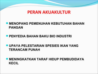 PERAN AKUAKULTUR
MENOPANG PEMENUHAN KEBUTUHAN BAHAN

PANGAN
PENYEDIA BAHAN BAKU BIO INDUSTRI
UPAYA PELESTARIAN SPESIES IKAN YANG

TERANCAM PUNAH
MENINGKATKAN TARAF HIDUP PEMBUDIDAYA

KECIL

 