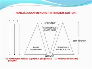 PENGELOLAAN MENURUT INTENSITAS KULTUR:
1

2

3

EKSTENSIF
ENDOGENOUS
PAKAN ALAMI

SEMI INTENSIF

PADAT
PENEBARAN

EKSOGENOUS
PAKAN BUATAN

INTENSIF
(1) Pembiayaan modal; (2) Derajat pengelolaan; (3) Kerentanan terhadap
penyakit

 