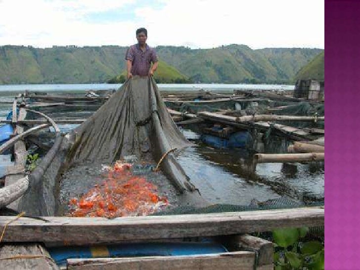 potensi kawasan pinggir laut