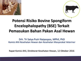 Potensi Risiko Bovine Spongiform
Encelophalopathy (BSE) Terkait
Pemasukan Bahan Pakan Asal Hewan
Drh. Tri Satya Putri Naipospos, MPhil, PhD
Komisi Ahli Kesehatan Hewan dan Kesehatan Masyarakat Veteriner
Rapat Komisi Ahli, Direktorat Kesehatan Hewan, 12 Oktober 2016
 