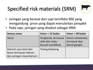 Potensi Risiko BSE Terkait Pemasukan Bahan Pakan Asal Hewan - Ditkeswan ...