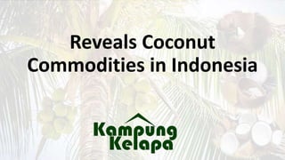 Reveals Coconut
Commodities in Indonesia
 