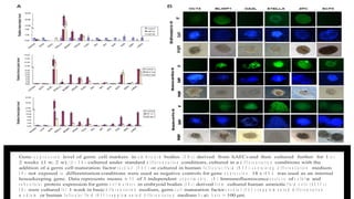 Potentals of human amniotic fluid stem cells | ODP