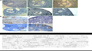 Potentals of human amniotic fluid stem cells | ODP