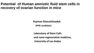 Potential of Human amniotic fluid stem cells in
recovery of ovarian function in mice
Peyman Ghoraishizadeh
(PHD candidate)
Laboratory of Stem Cells
and nano-regenerative medicine,
University of Los Andes
 