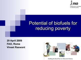 Potential of biofuels for reducing poverty 29 April 2009 FAO, Rome Vineet Raswant 