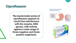 Ciprofloxacin
The bactericidal action of
ciprofloxacin appears to
result from interference
with the enzyme, DNA
gyrase, with activity
against a wide range of
Gram-negative and Gram-
positive organisms.
 