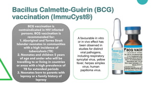 Bacillus Calmette-Guérin (BCG)
vaccination (ImmuCyst®)
BCG vaccination is
contraindicated in HIV infected
persons. BCG vaccination is
recommended for:
1. Aboriginal and Torres Strait
Islander neonates in communities
with a high incidence of
tuberculosis (TB)
2. Neonates and children 5 years
of age and under who will be
travelling to or living in countries
or areas with a high prevalence of
TB for extended periods
3. Neonates born to parents with
leprosy or a family history of
leprosy
A favourable in vitro
or in vivo effect has
been observed in
studies for distinct
viral pathogens,
including respiratory
syncytial virus, yellow
fever, herpes simplex
virus; human
papilloma virus.
 