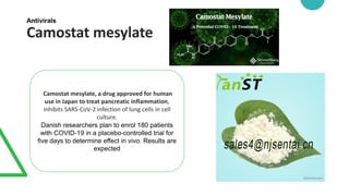 Antivirals
Camostat mesylate
Camostat mesylate, a drug approved for human
use in Japan to treat pancreatic inflammation,
inhibits SARS-CoV-2 infection of lung cells in cell
culture.
Danish researchers plan to enrol 180 patients
with COVID-19 in a placebo-controlled trial for
five days to determine effect in vivo. Results are
expected
 