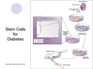 Stem Cells for Diabetes 